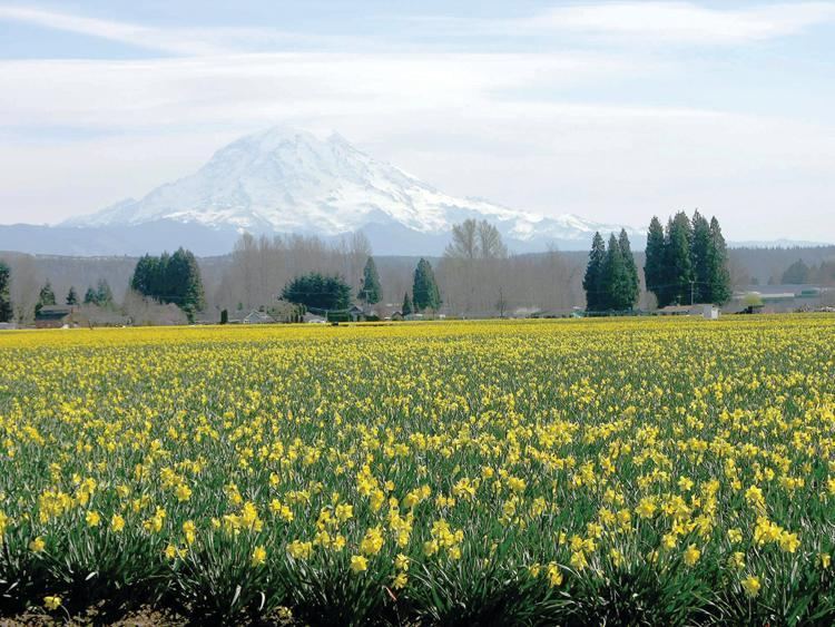 Puyallup, WA